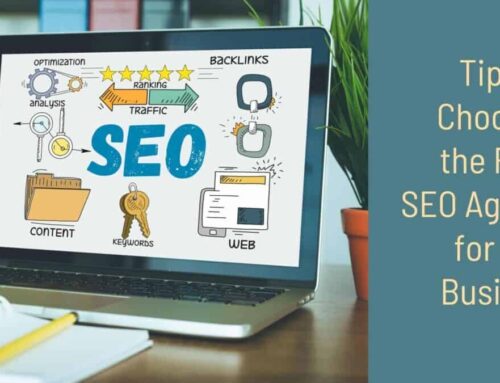 Searching for an SEO Partner